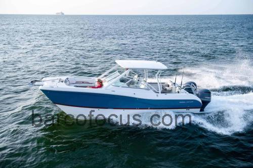 World Cat 296 DC ficha tecnica 